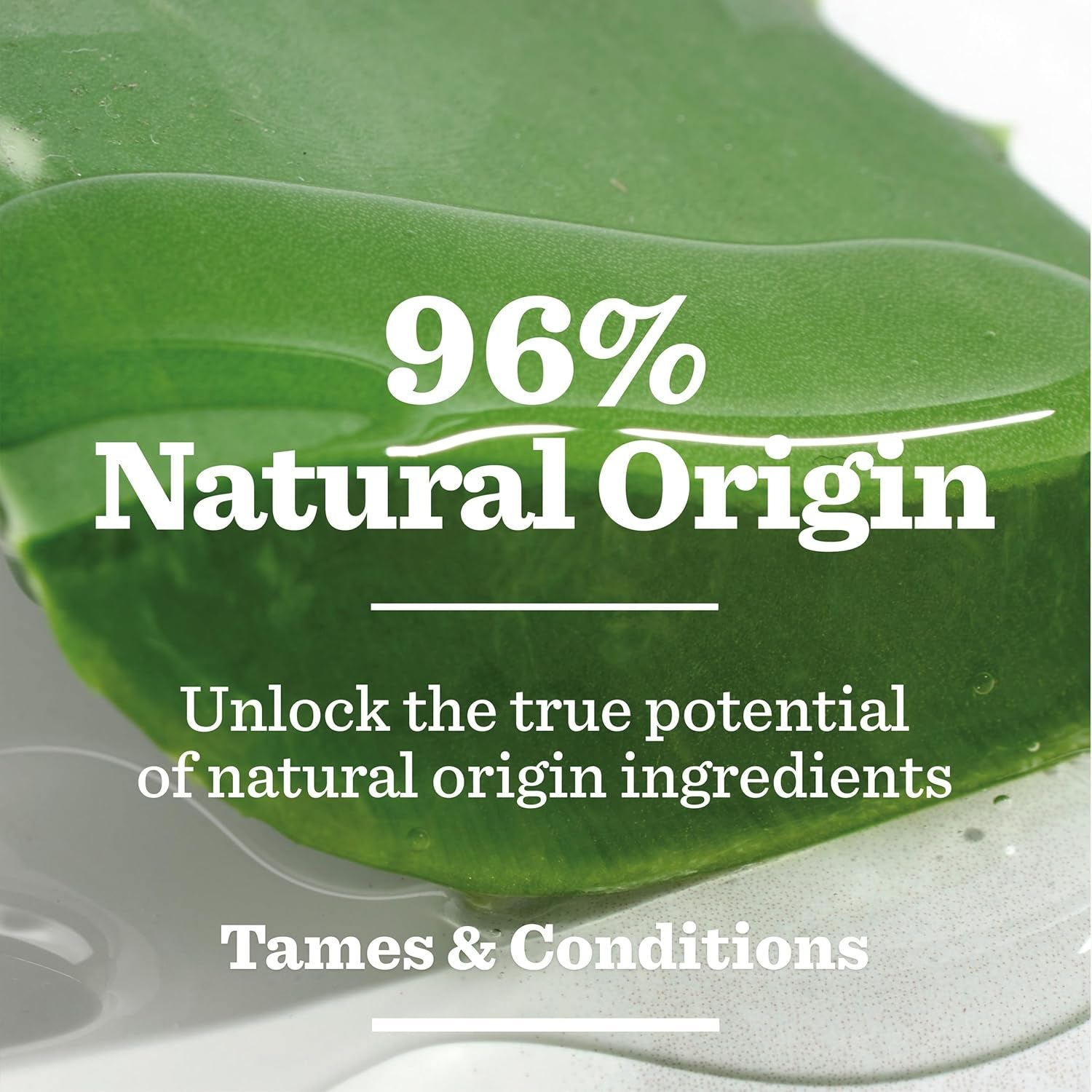 Beardcare Original Beard Oil - Fast-Absorbing, Non-Greasy Formula with Aloe Vera, Camelina Oil, and Green Tea, 30ml