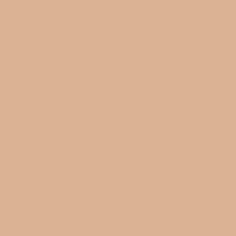 L'Oréal Paris Perfect Match Liquid Foundation with Hyaluronic Acid and Aloe Vera, Shade No. 2.R/2.C Rose Vanilla, 30 ml
